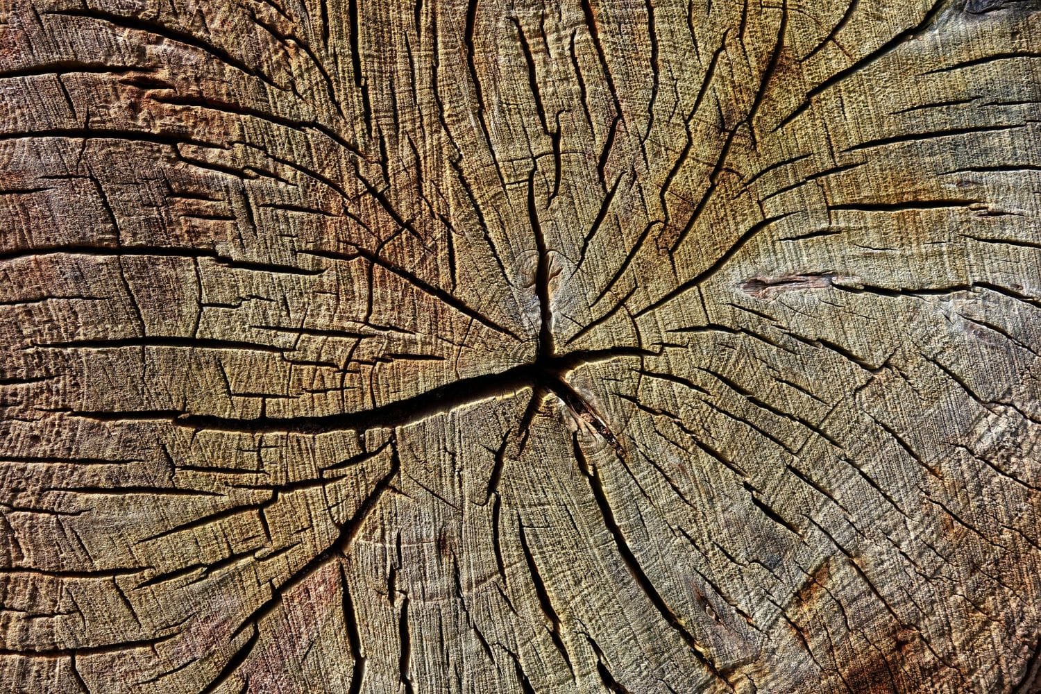 Madeira natural em close, com textura rústica e veios marcados